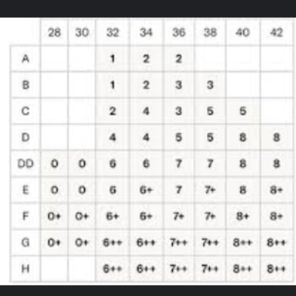 KNIX WingWoman Contour Wire Free Bra in Smokeshow 8+ ( 40F 42E 42F ) - Picture 7 of 7